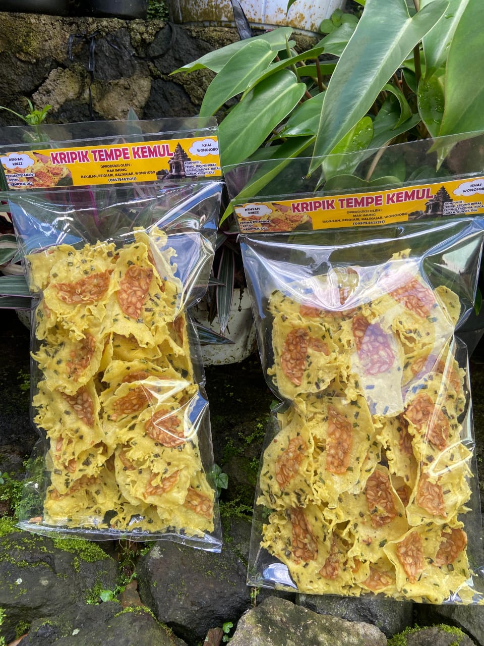 Kripik Tempe Kemu Desa Rejosari